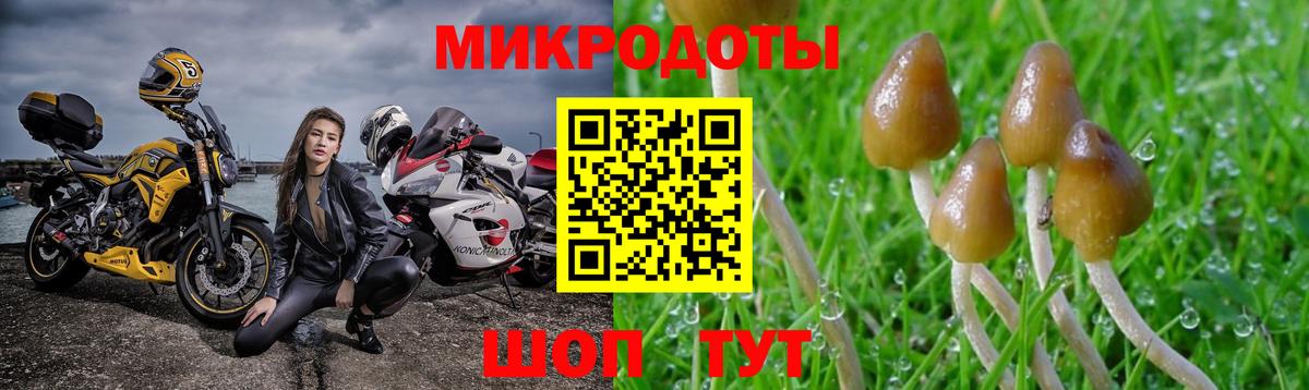 Галлюциногенные грибы Psilocybine cubensis  Галлюциногенные грибы MAGIC MUSHROOMS  Вход с VPN  Ревда 